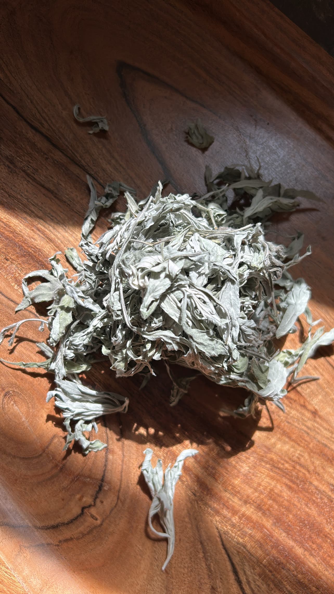 Bundles of dried herbs gathered for an evening botanical ritual