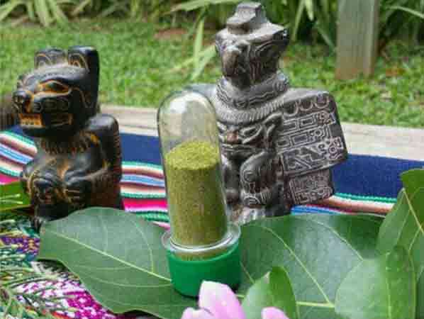 Fine botanical powders and dried rose petals for a clay mask ritual